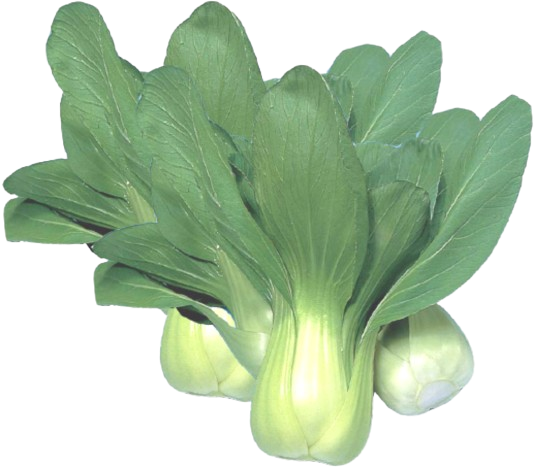 Pak Choi